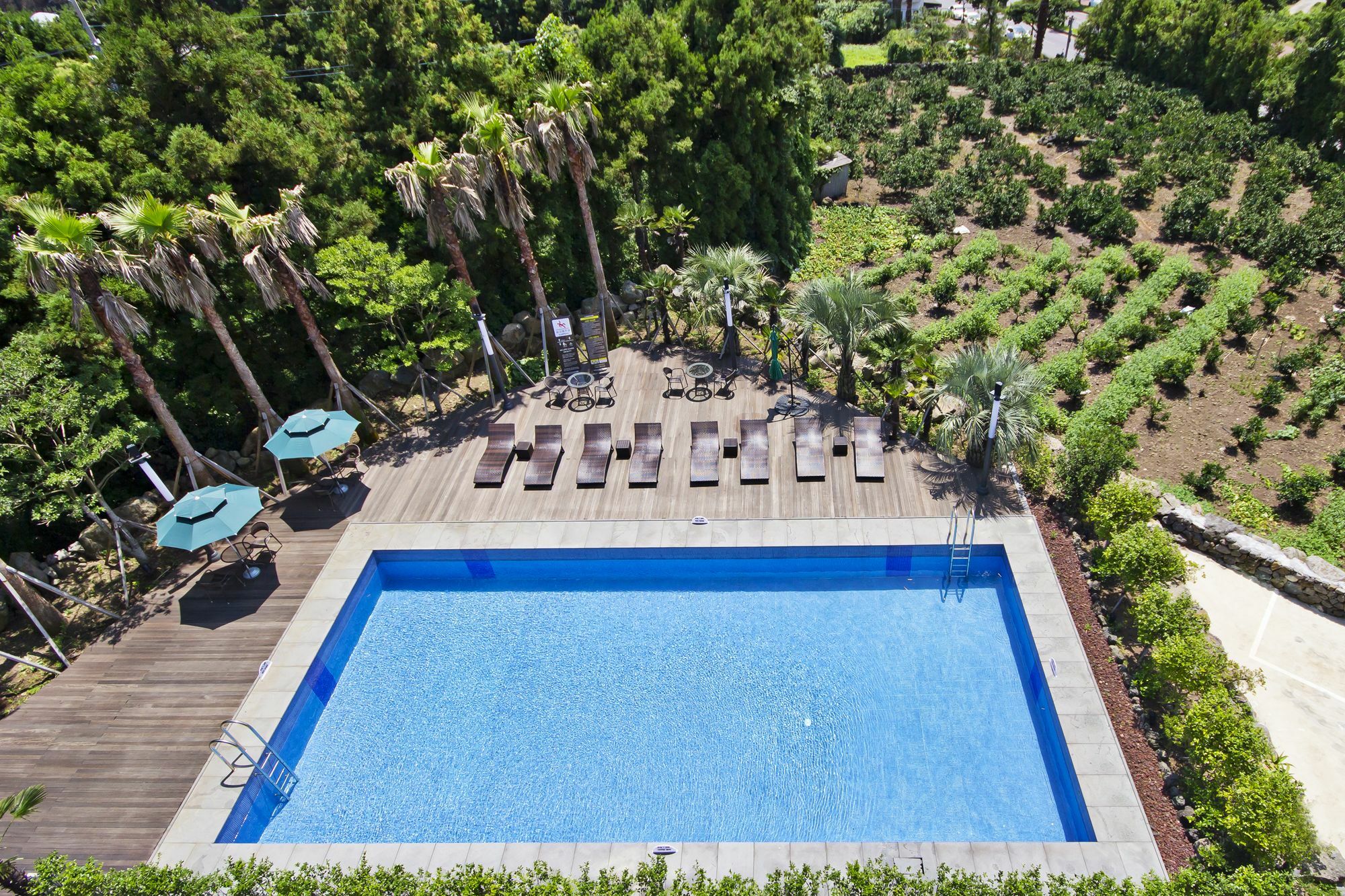סאוגוויפו Sunrise Hotel Jungmun Branch מראה חיצוני תמונה