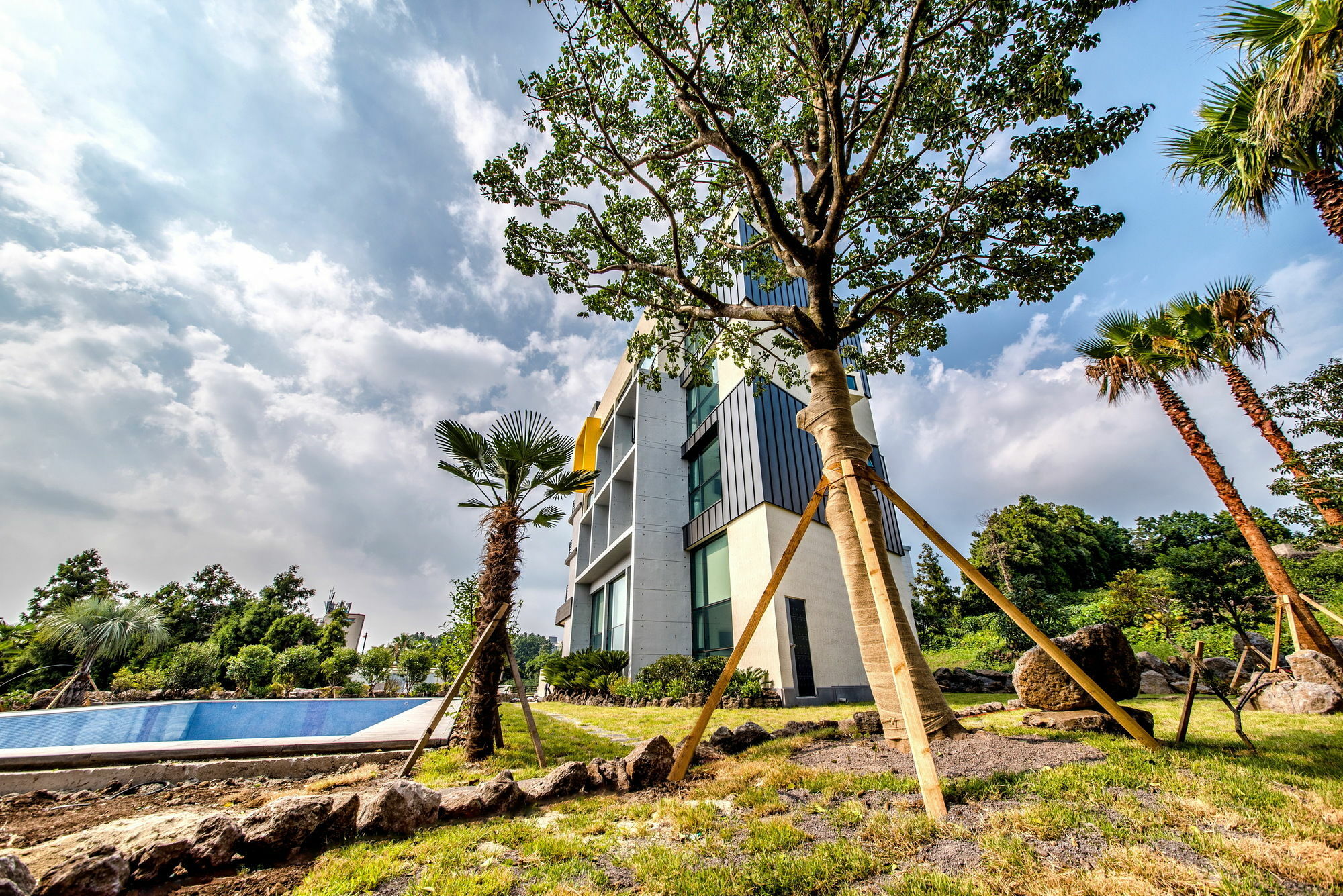 סאוגוויפו Sunrise Hotel Jungmun Branch מראה חיצוני תמונה